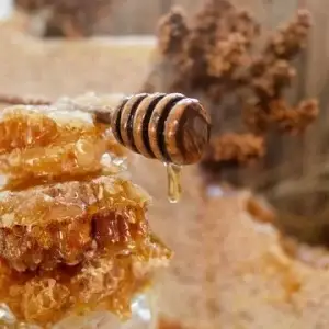 organic honey from Egypt