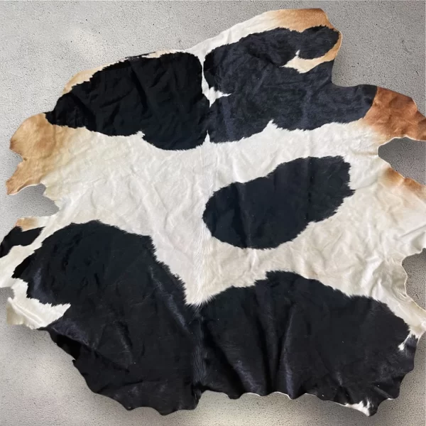 Authentic Black and White Egyptian Cowhide Rug - Image 5
