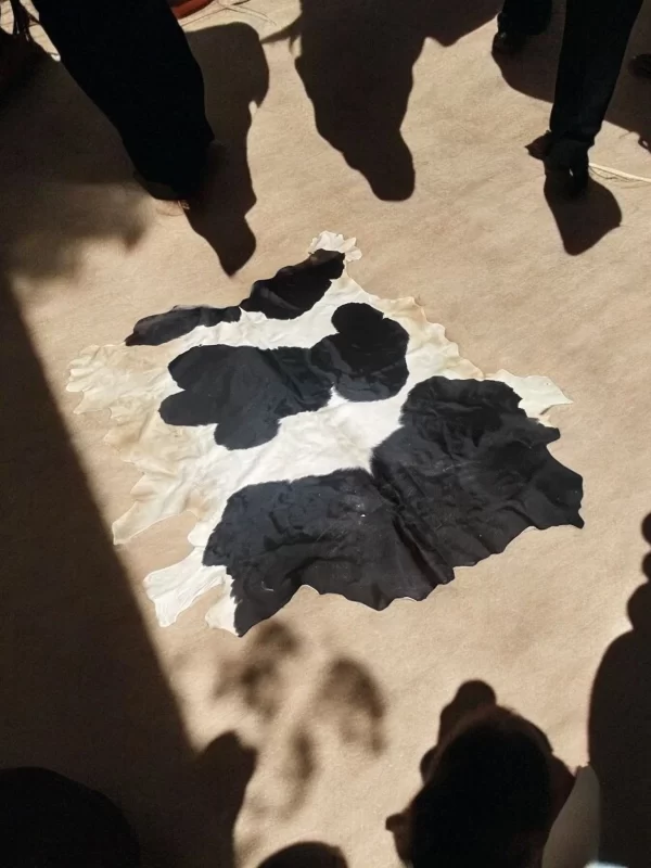 Authentic Egyptian Cowhide Rug in Black, White, and Dust of Brown - Image 4